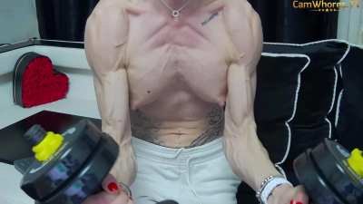 Muscles GIF by prote<wbr>inpan<wbr>cakes