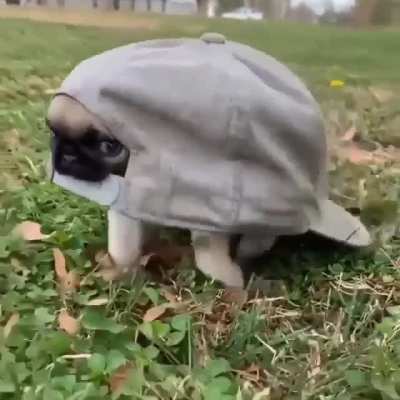 I Am Stuck.. Help me!!
