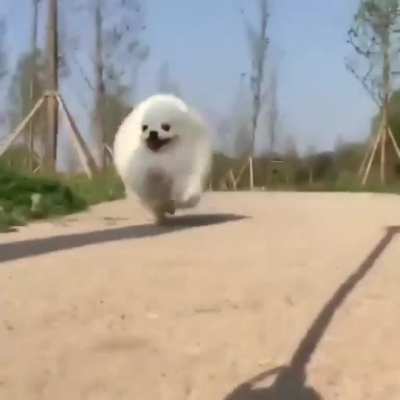 cAmErA mAn fLeEs fOr LiFe aS bALL oF deAtH apProAcHeS aT mAcH 10