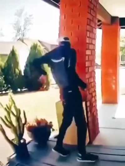 Delivery man gets quite a shock as he bends down to take a picture of the parcel.
