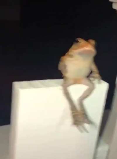 He's just chilling