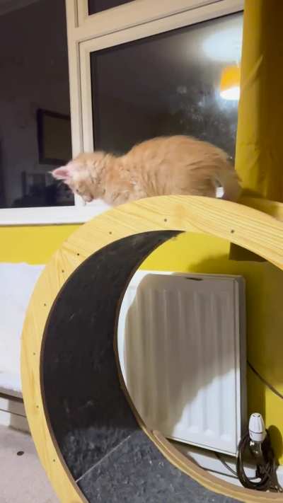 he has almost mastered the wheel