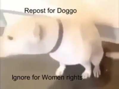 women no rights
