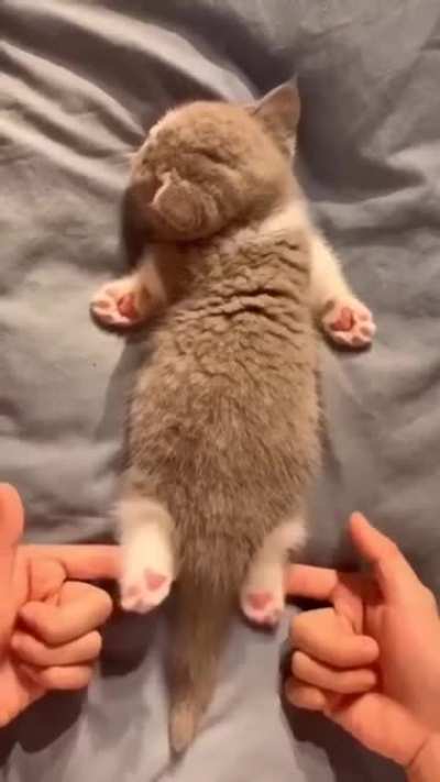 Very pointy