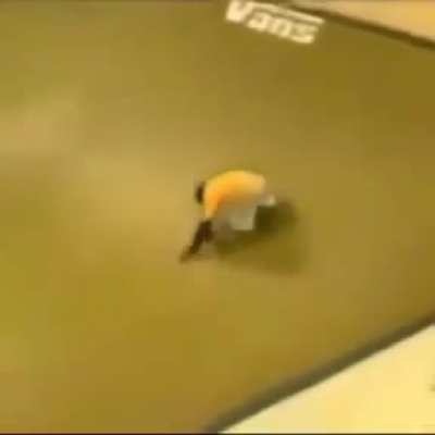 Monkey Hawk Pro Skater