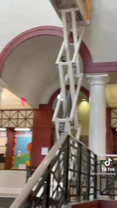 Bird stuck in light. Wait til the end