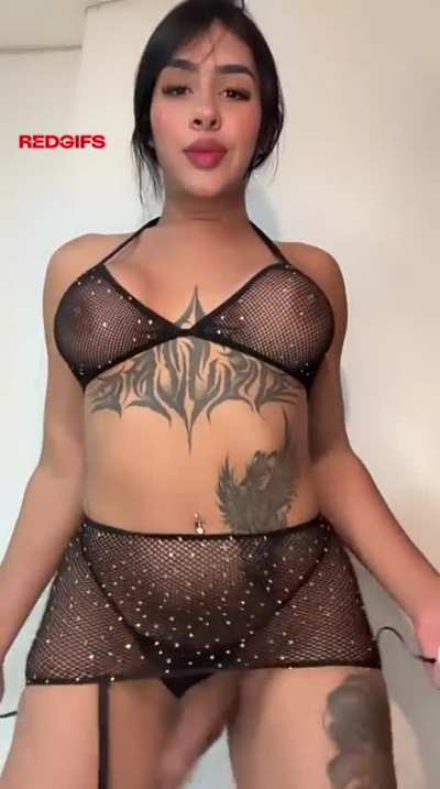 EverythingTrap_Trans
