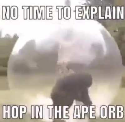 when ape orb: