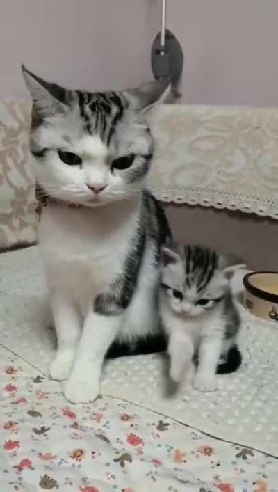 When mom says 