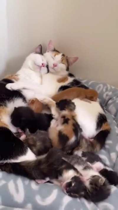 Beautiful family ❤