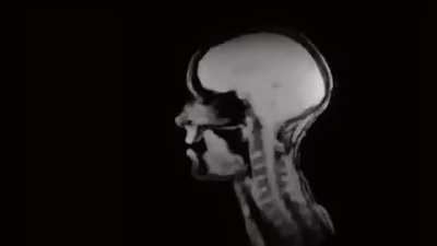 Not sure if this counts but an anatomy and physiology of a person singing
