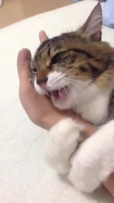 Squish the hand