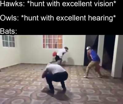 Echolocation baby