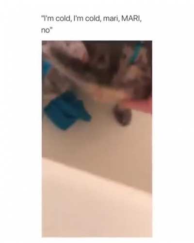 I'm Cold (Watch with audio)
