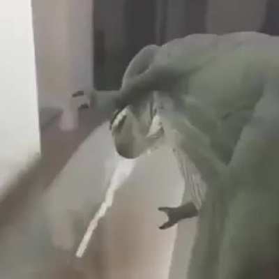 I love cocaine