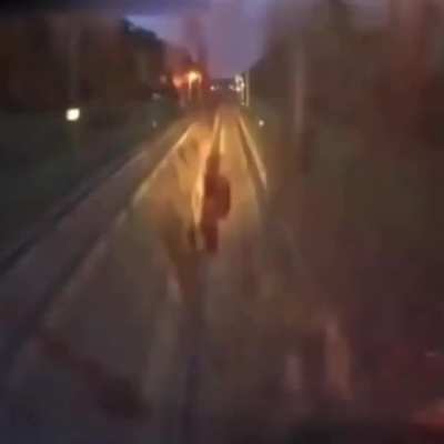 Deer review