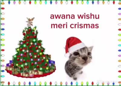 Happy tree day!