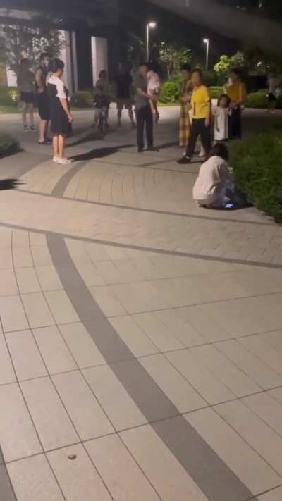 据拍摄者：<wbr>女孩在小区<wbr>里遛狗没牵<wbr>绳，好像是<wbr>吓到了大爷<wbr>的小孙女，<wbr>大爷举起小<wbr>狗就给摔死<wbr>了！过程中<wbr>女孩边哭边<wbr>道歉.
