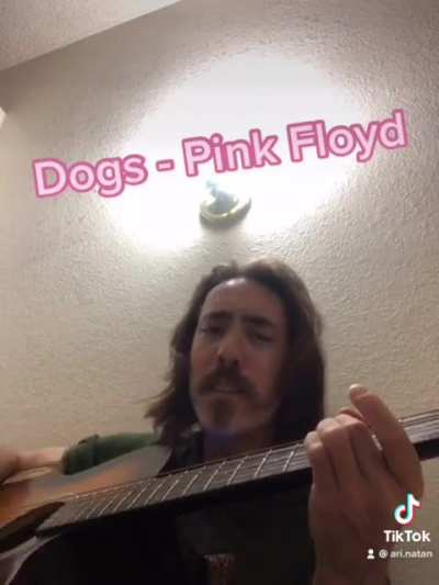 Learning songs is one of my favorite pastimes, this is one I’m working on, Dogs by Pink Floyd