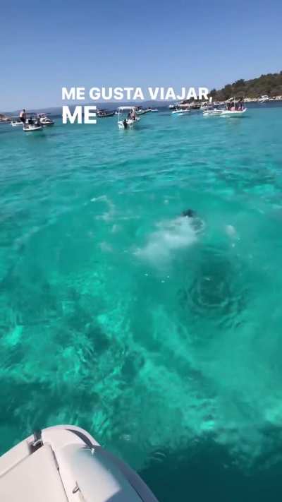 Βενια Καραγ<wbr>ιαννι<wbr>δου 