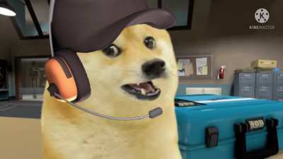 Team Doggos 2: Meet the Spmy