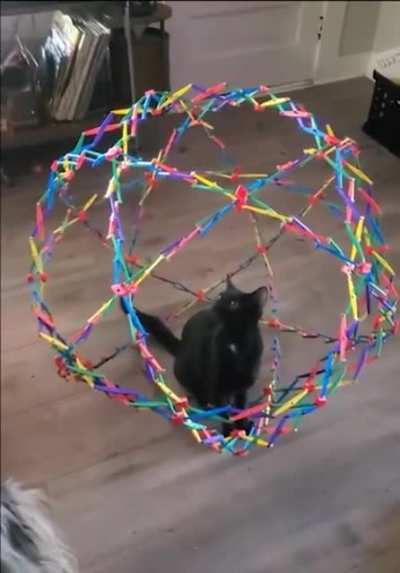 to grab the toy
