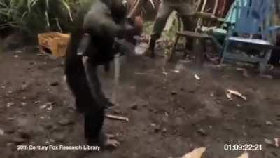 Macacos da Angola é foda