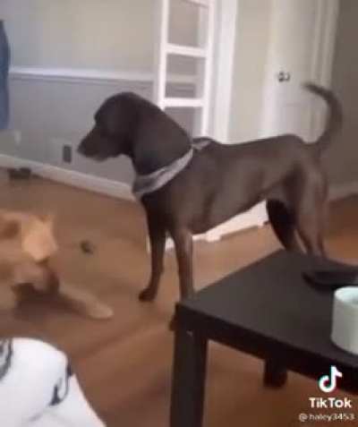 What is this move called?