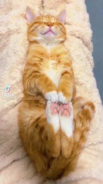 Eyebleach for you