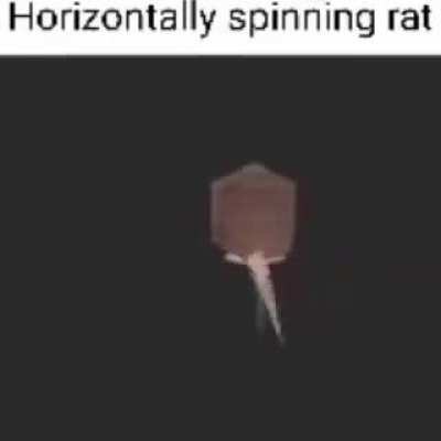 horizontally spinning rat