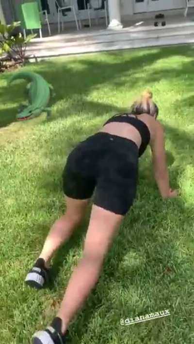 Reptile