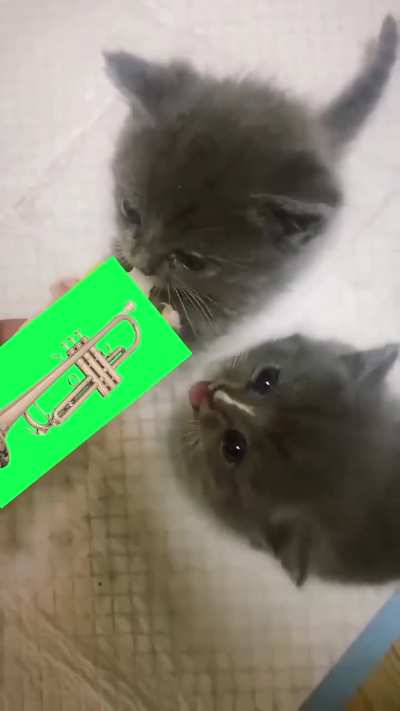 rule
