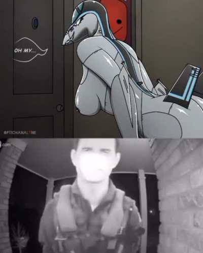 Top gun if it was made by a furry (repost from r/furry_irl)