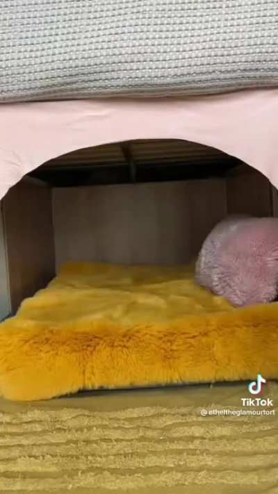 Bed makeover