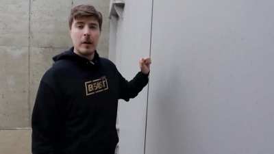 MrBeast Sings Dame Da Ne (Baka Mitai)