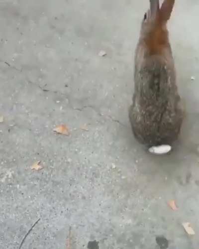 Утоми<wbr>лся
