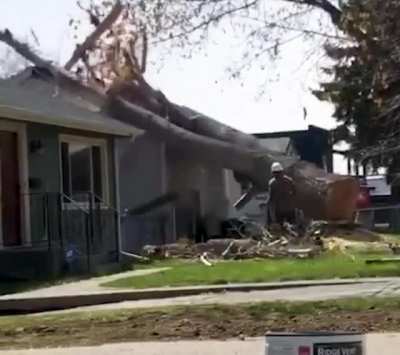 Hope they have good insurance