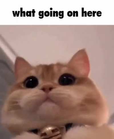 Out of