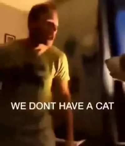 ¿¿cat = cum??