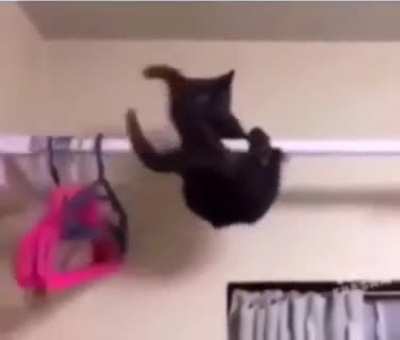 Hanging on
