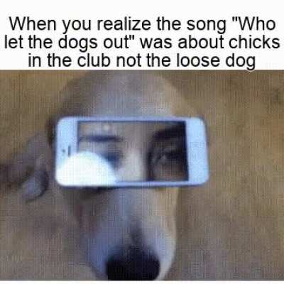 That song is a lie