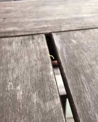 Lil guy coulda used some help