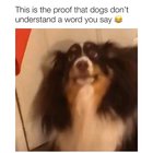 He's fine