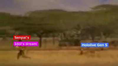 Gen 5 Idol's Dream