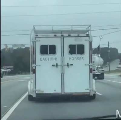 Beware of Horses