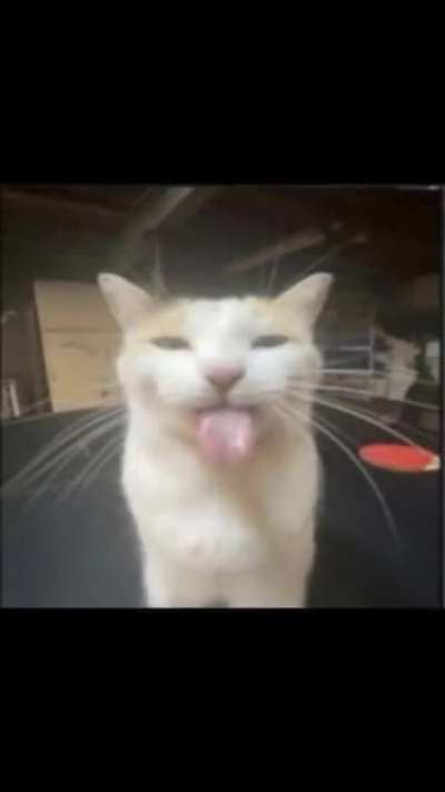 puzy
