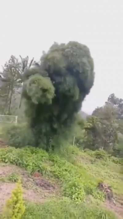 Maybe Maybe Maybe