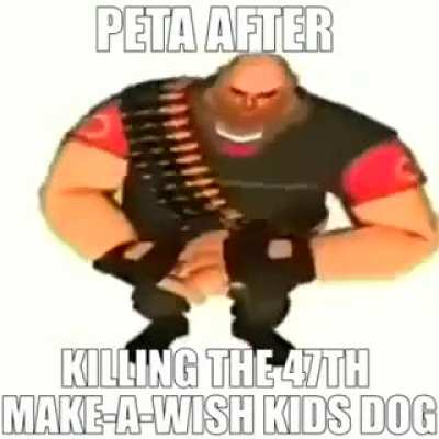 pp