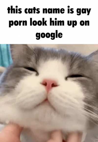 very cute