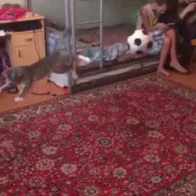 What a save
